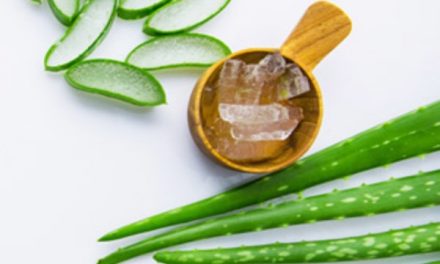 All About Aloe Vera: Types,Benefits,Side Effects And How To Grow