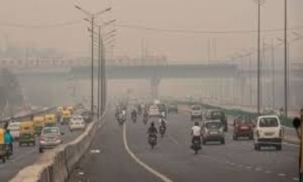 Delhi enjoys cleanest air in Nov, AQI in double digits: Delhi pollution