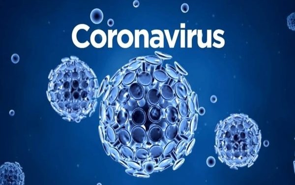 World Health Organization issues a public advisory on coronavirus