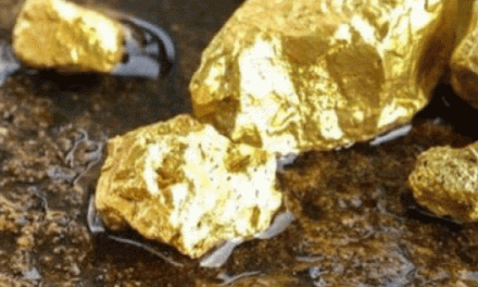 Around 3,000 tonne gold deposits found in Sonbhadra Districts of U.P