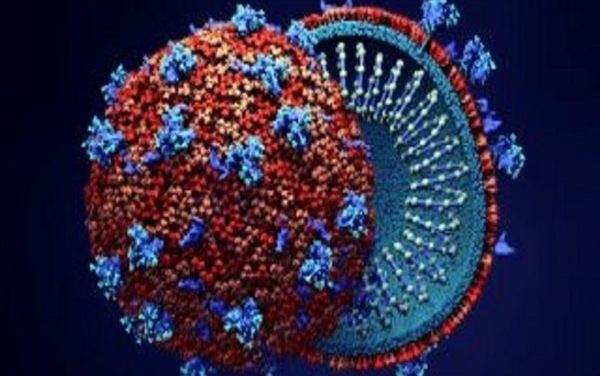 Coronavirus may never go away even with a vaccine: COVID 19 report