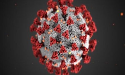 Scientists detect ’10 times’ more infectious coronavirus strain – D614G