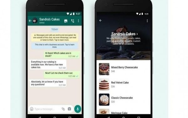 How to shop using WhatsApp Carts: details here