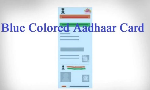 What is Blue Aadhaar Card? Know how to apply and other details.