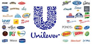 Hindustan Unilever Ltd., best investment option 2022