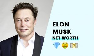 Elon Musk net worth 2022