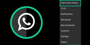 Step by Step guide to Disable Your WhatsApp 'Online' Status